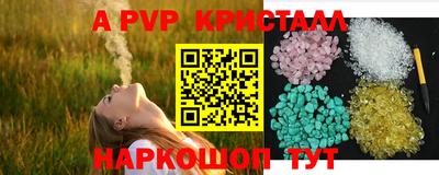 ECSTASY Кимры