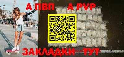 дмт Кингисепп