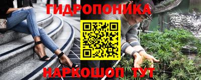дмт Кингисепп