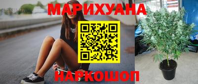 ECSTASY Кимры