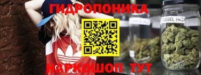 ECSTASY Кимры
