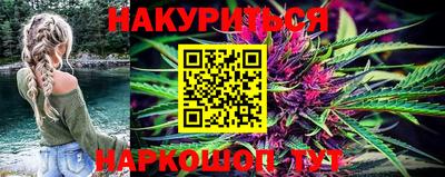 дмт Кингисепп