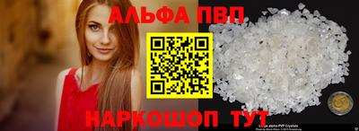 дмт Кингисепп