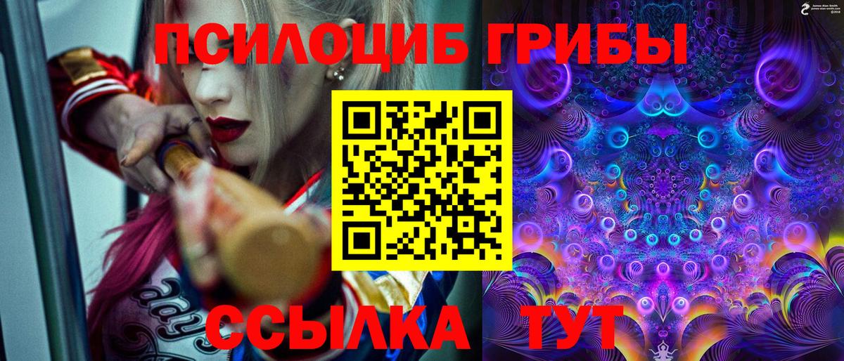 Псилоцибиновые грибы Psilocybe Костомукша