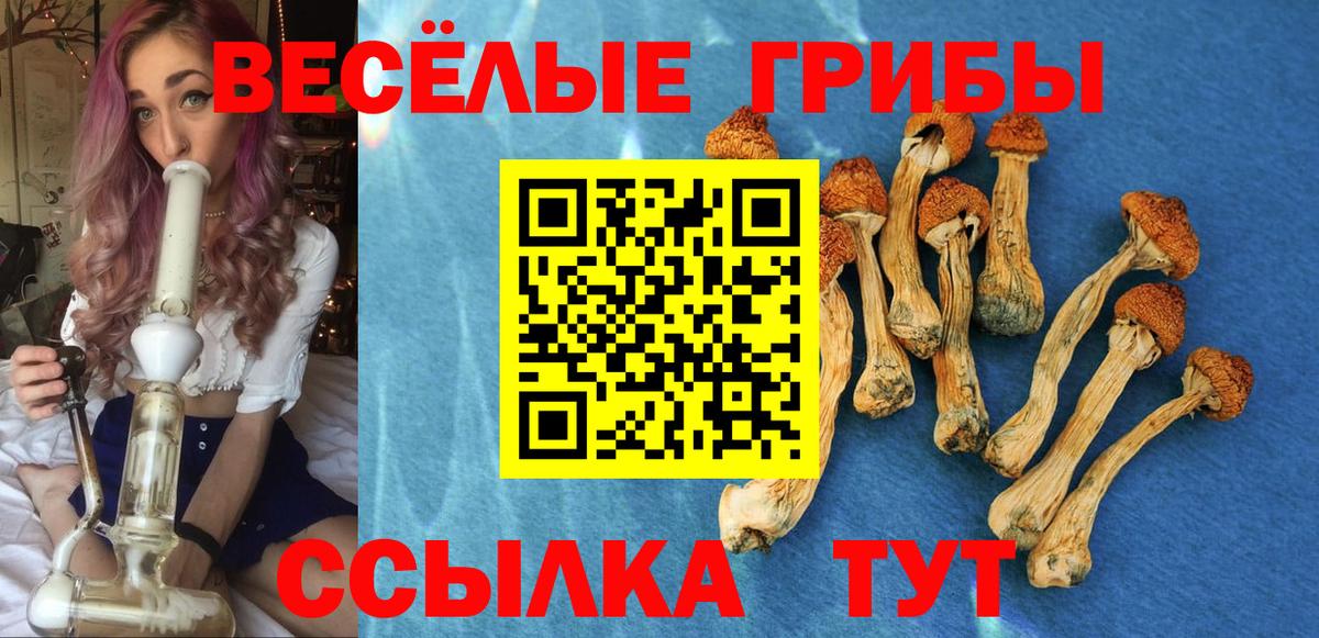 Костомукша  Псилоцибиновые грибы прущие грибы  Вход с VPN 